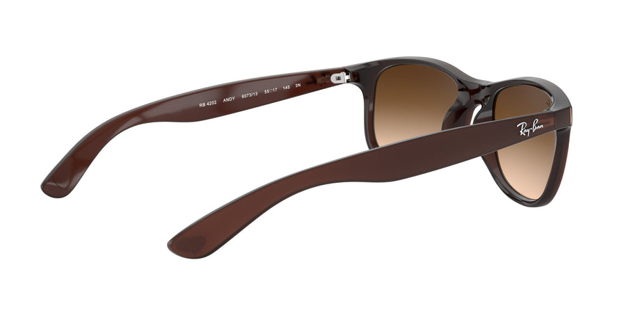 Andy RB4202 – Brown / Brown Gradient Dark Brown