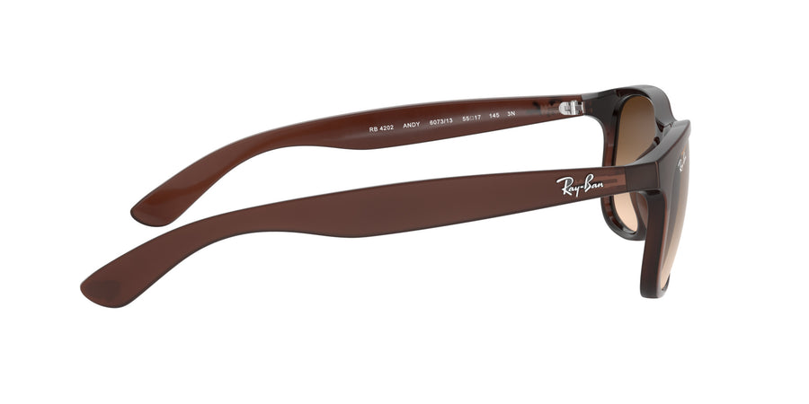 Andy RB4202 – Brown / Brown Gradient Dark Brown