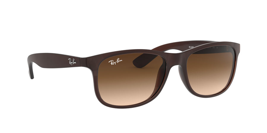 Andy RB4202 – Brown / Brown Gradient Dark Brown