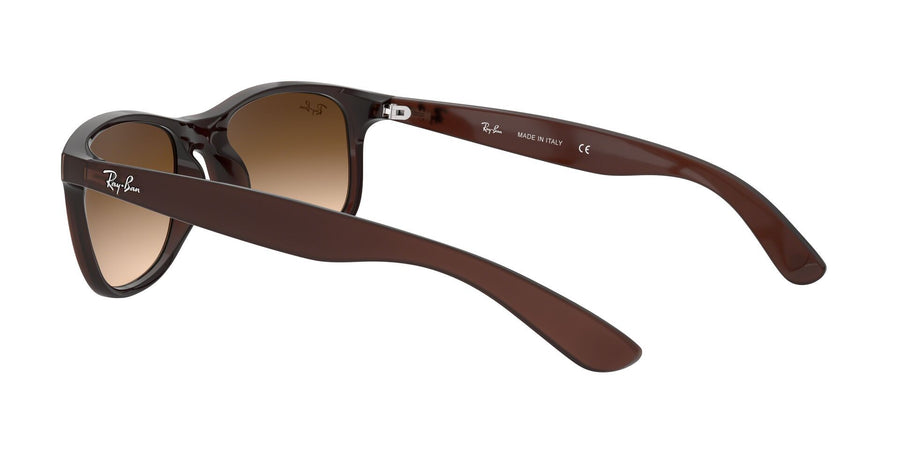 Andy RB4202 – Brown / Brown Gradient Dark Brown