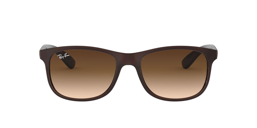 Andy RB4202 – Brown / Brown Gradient Dark Brown