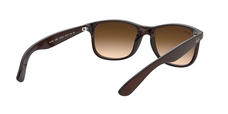 Andy RB4202 – Brown / Brown Gradient Dark Brown