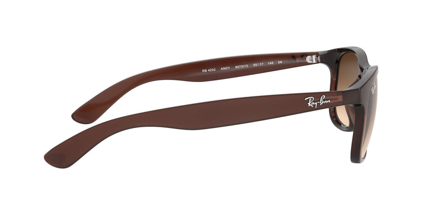 Andy RB4202 – Brown / Brown Gradient Dark Brown