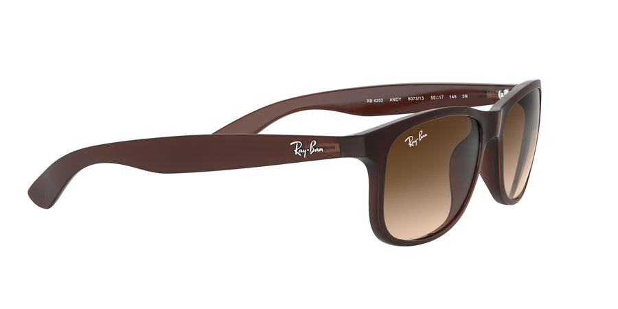Andy RB4202 – Brown / Brown Gradient Dark Brown