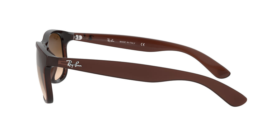 Andy RB4202 – Brown / Brown Gradient Dark Brown