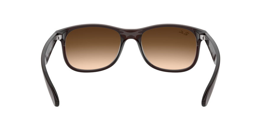 Andy RB4202 – Brown / Brown Gradient Dark Brown