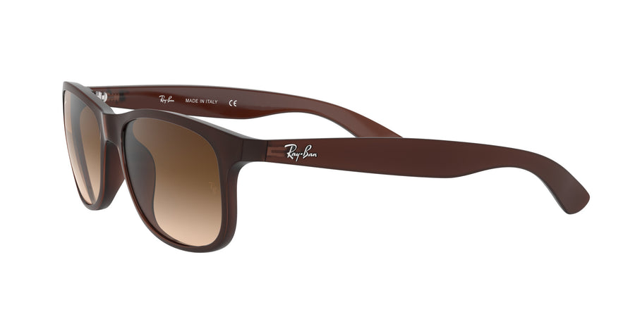 Andy RB4202 – Brown / Brown Gradient Dark Brown