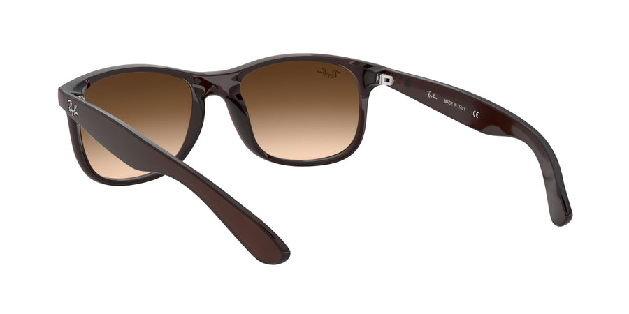 Andy RB4202 – Brown / Brown Gradient Dark Brown