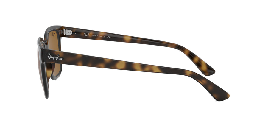 RB4323 – Havana / B-15 Brown
