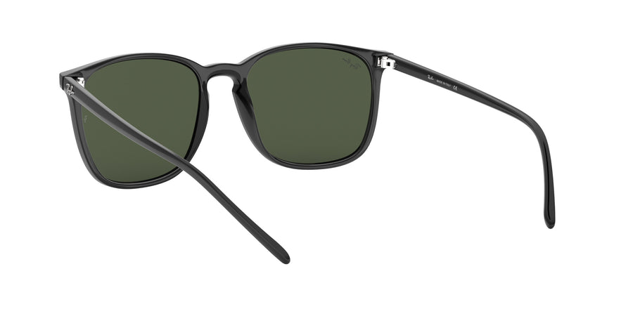 RB4387 – Black / Dark Green
