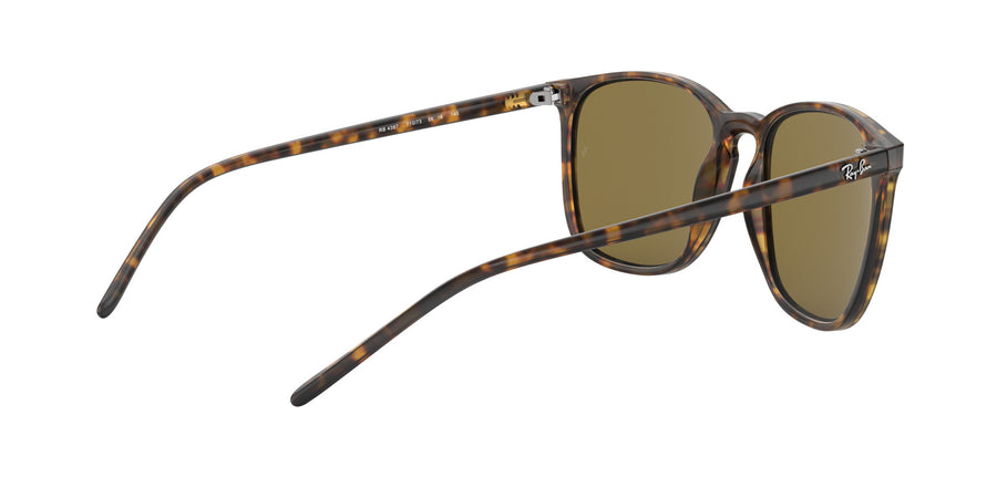 RB4387 – Havana / Dark Brown
