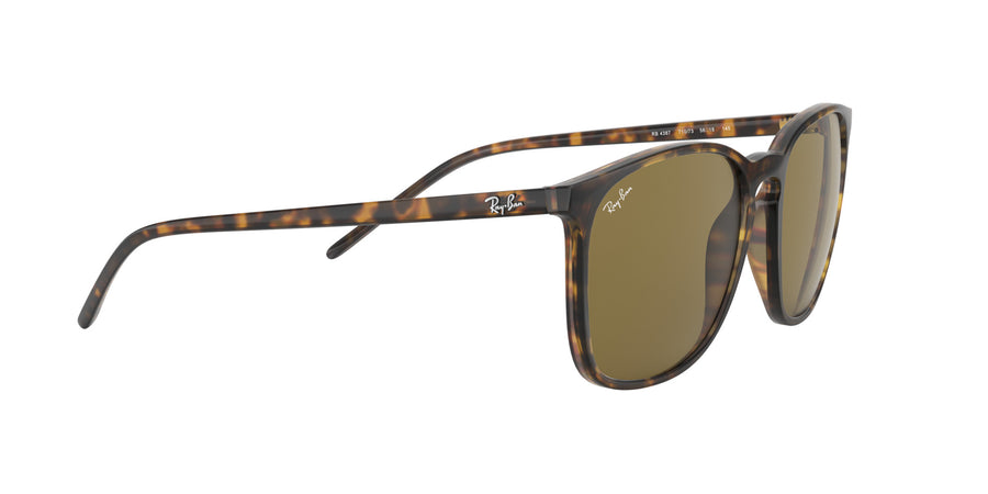 RB4387 – Havana / Dark Brown