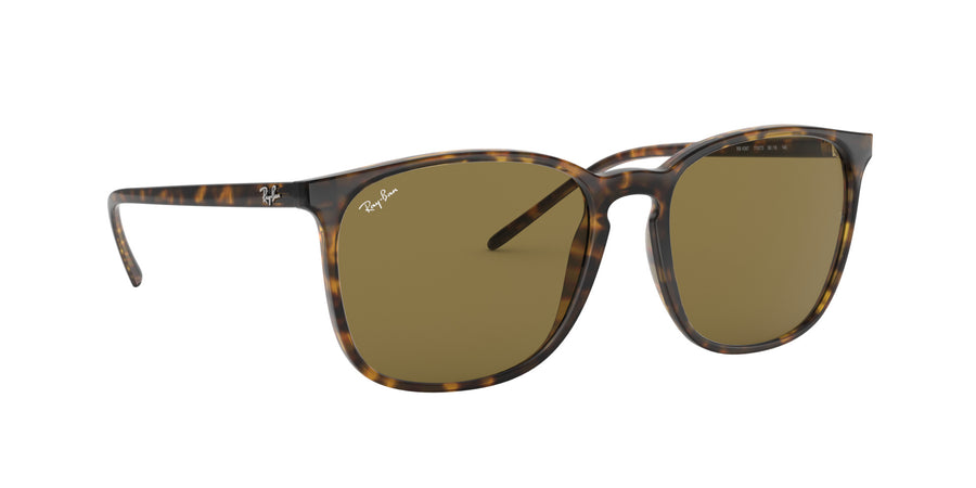 RB4387 – Havana / Dark Brown