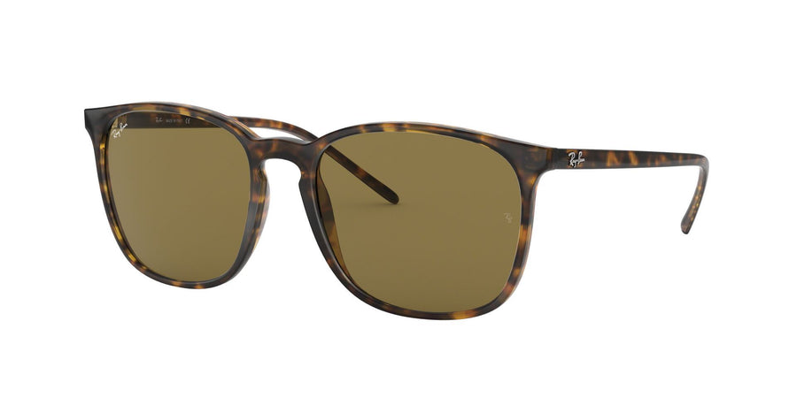 RB4387 – Havana / Dark Brown