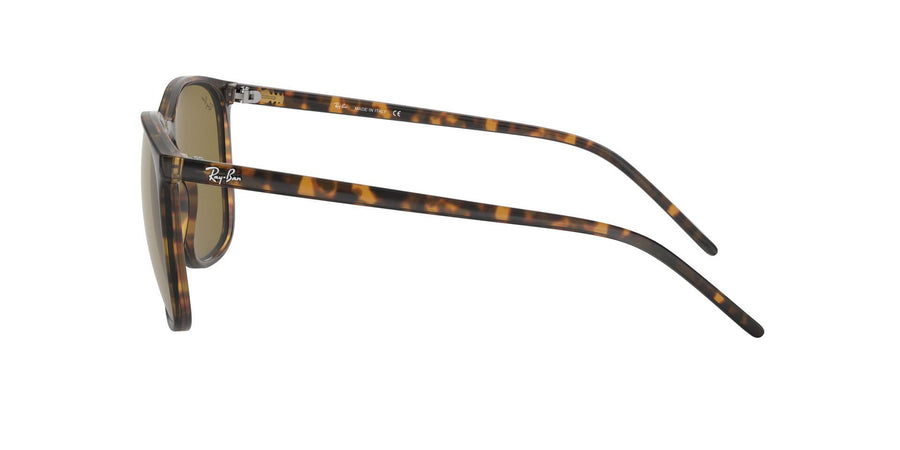 RB4387 – Havana / Dark Brown