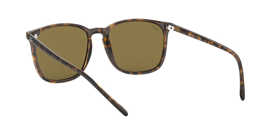 RB4387 – Havana / Dark Brown