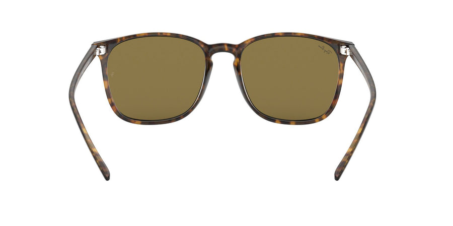 RB4387 – Havana / Dark Brown