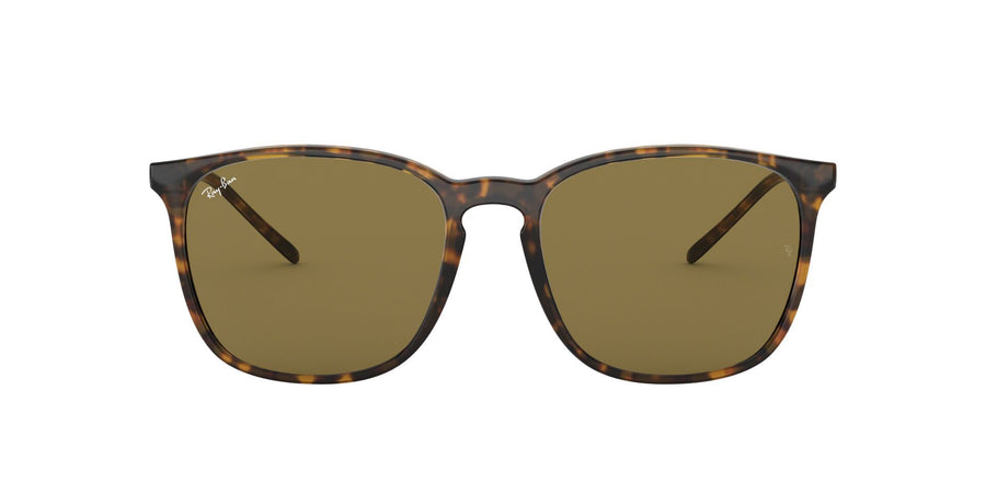 RB4387 – Havana / Dark Brown
