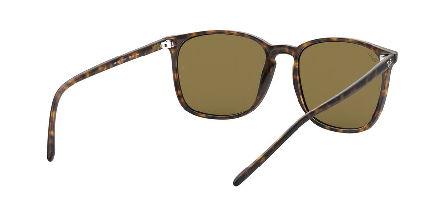RB4387 – Havana / Dark Brown