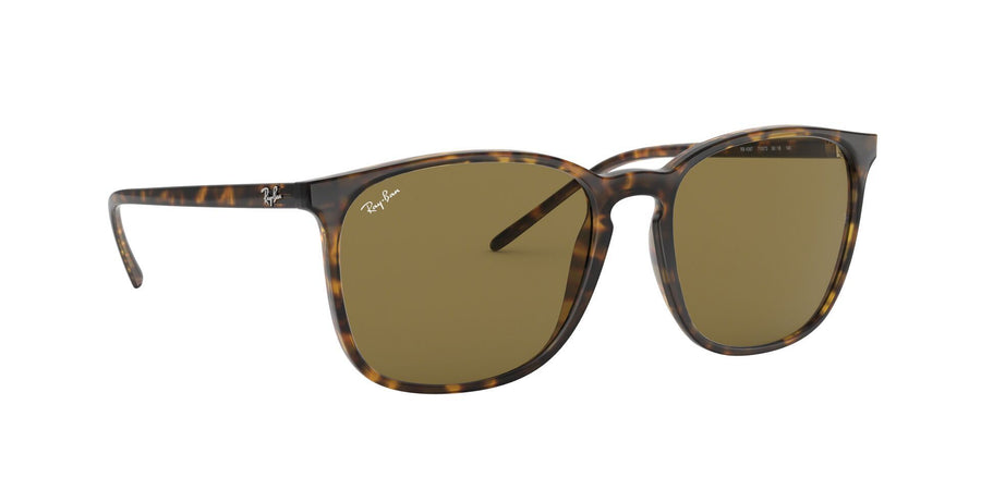 RB4387 – Havana / Dark Brown