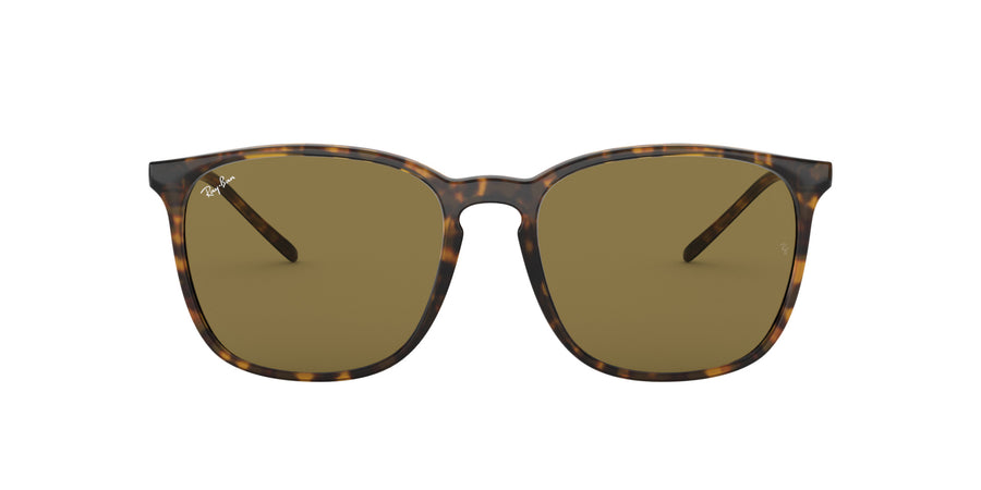 RB4387 – Havana / Dark Brown