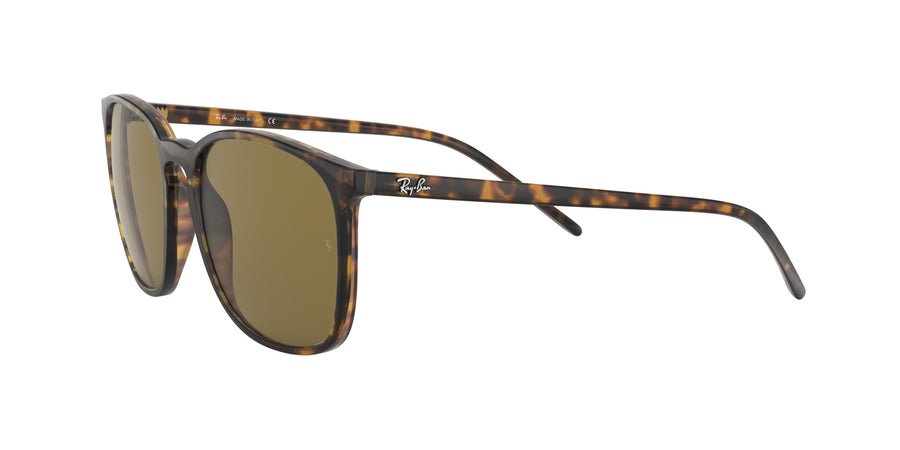 RB4387 – Havana / Dark Brown