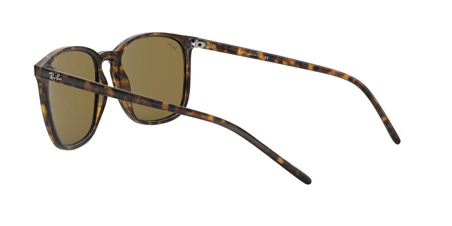 RB4387 – Havana / Dark Brown