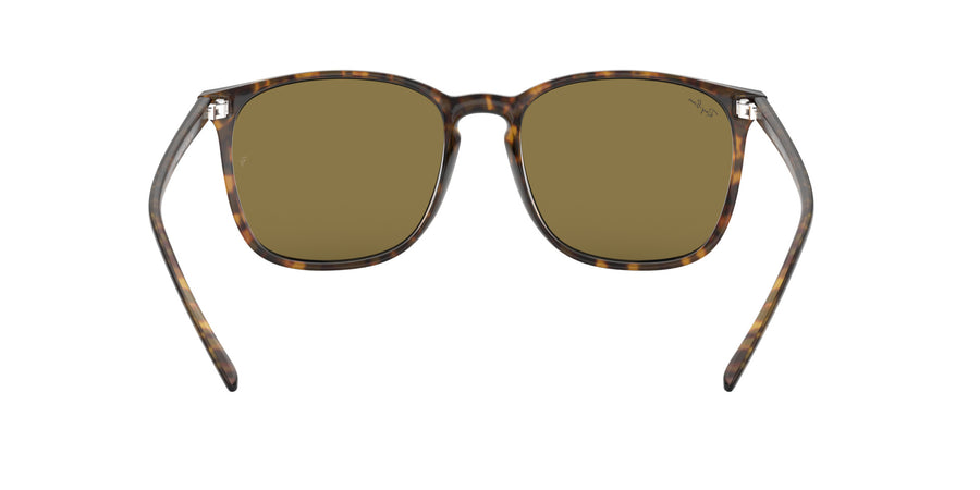 RB4387 – Havana / Dark Brown