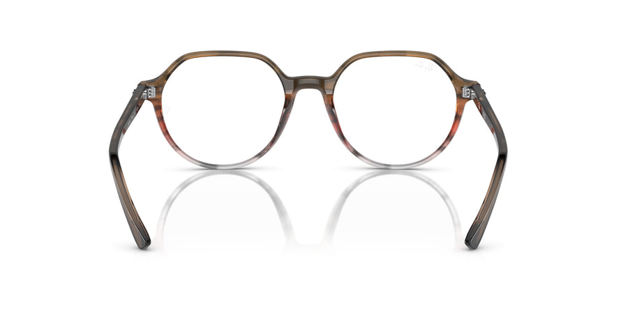 Thalia RX5395 – Brown