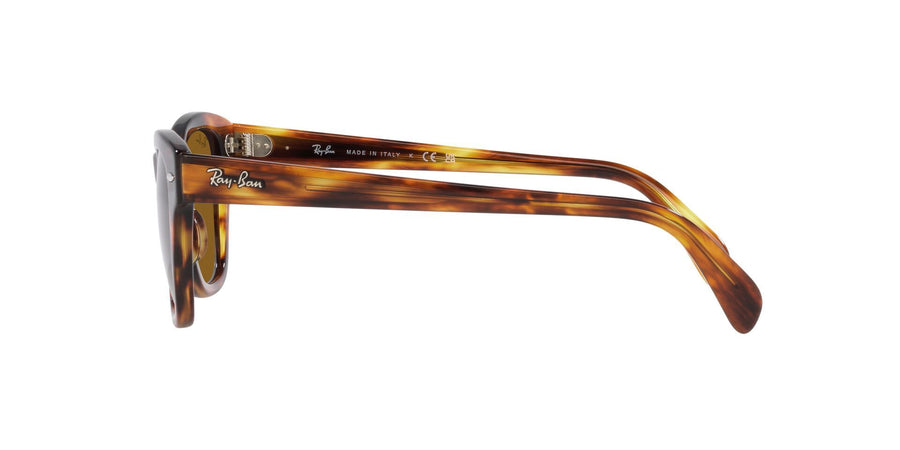 The Bold RB0707S – Striped Havana / Brown