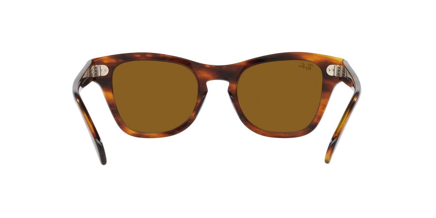 The Bold RB0707S – Striped Havana / Brown