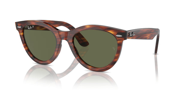 Wayfarer Way RB2241 – Havana / Green Polar