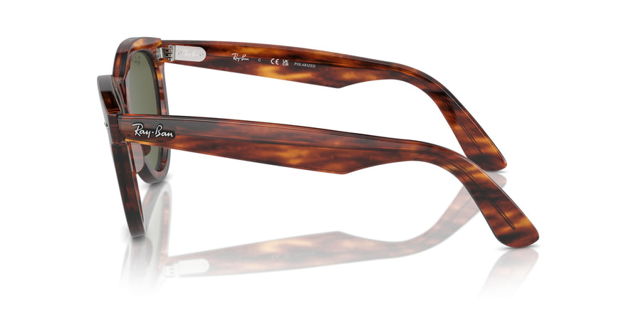 Wayfarer Way RB2241 – Havana / Green Polar
