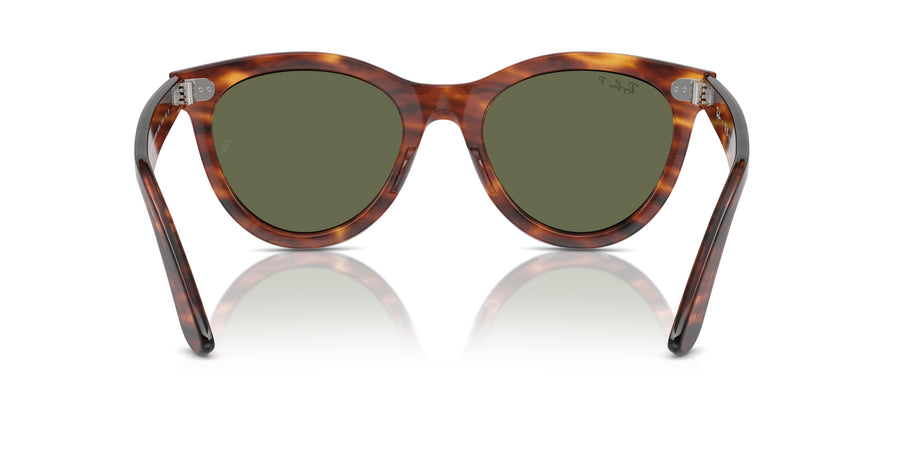 Wayfarer Way RB2241 – Havana / Green Polar