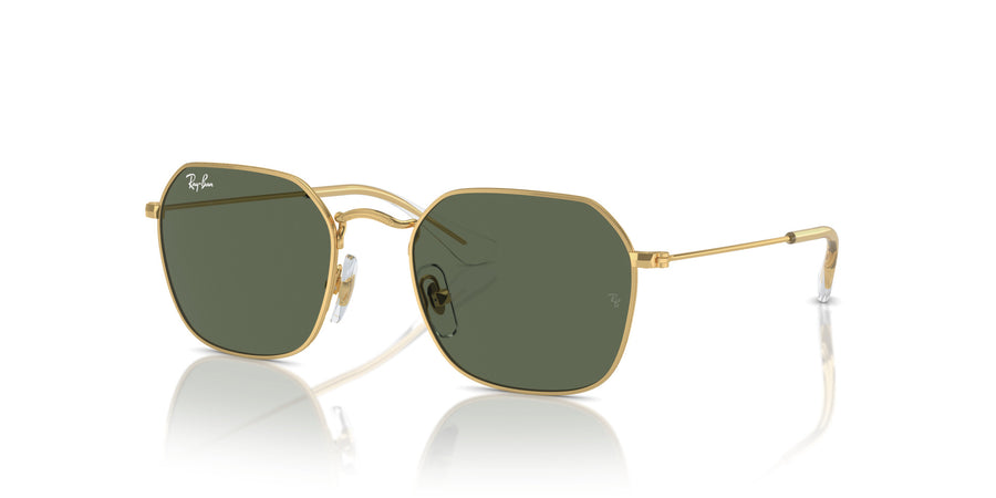 Wayfarer Way RJ9594S – Gold / Dark Green
