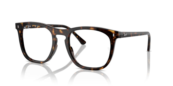 Wayfarer Way RX2210V – Havana