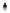 XTASY