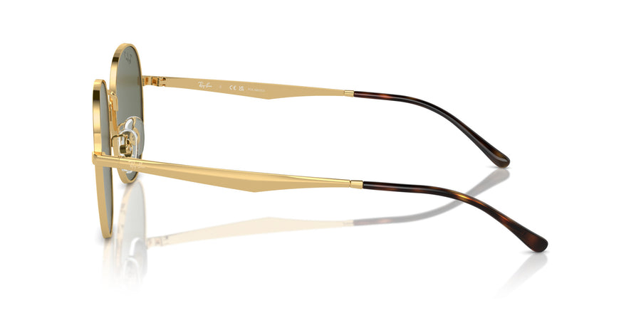 Yevi RB3727D – Gold / Dark Green Polar