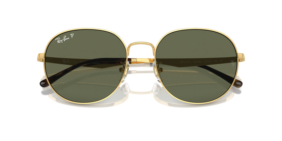 Yevi RB3727D – Gold / Dark Green Polar